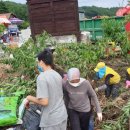 장덕2리 이미지