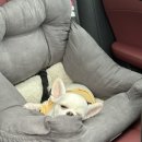 산음캠핑 이미지