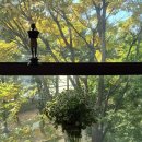 새시대한의원 이미지