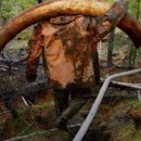 상아무역 이미지