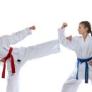 인지 태권도 이미지