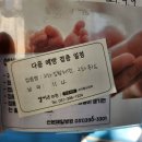 엘키즈의원 | 산본 소아과 엘키즈 의원에서 돌접종, 독감주사 후기