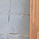 역전할머니맥주태안점 이미지