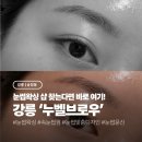 나무-브로우 | [강릉/송정동] 강릉 눈썹왁싱 속눈썹펌 '누벨브로우' 후기