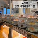 합정 메세나폴리스 맛집 윤초밥 후기｜가성비 회전초밥 추천🍣✨