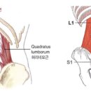 메이크 무브짐 이미지