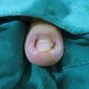 현대통통의원 이미지