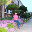 고수초등학교 이미지