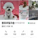 밀크숑 애견샵 이미지