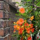 강동구청 이미지