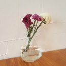 주니핸즈 이미지