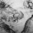 연필스케치(심화) 이미지