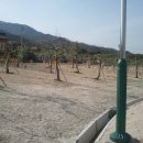 경상남도 사과이용연구소 이미지