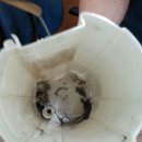 김해커먼레일전문점 이미지