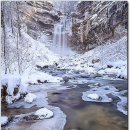 안드레아목장 이미지