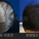 모리의원 이미지