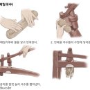손국수나라