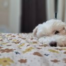 청호정펜션 이미지