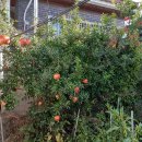 수원이용소 이미지