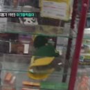 짱뽑기 네이버블로그