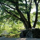 가호동23 이미지