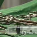 589 Daum카페