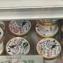 무진연생