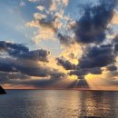 설봉가축인공수정소 | 여명일기(10)