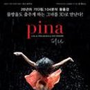 밴더스