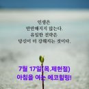 아침미소목