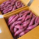 연지농장 이미지