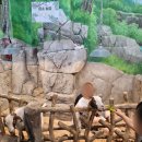 삼남매 염소농장 이미지