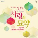 사랑의 묘약 이미지