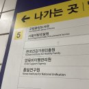 반포천 | 반포천 벚꽃 고속터미널역 근처 숨겨진 서울 벚꽃 명소