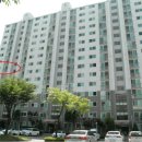 더블유스토어하이약국 Daum카페