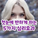 [이미지메이킹] 첫눈에 반하게 하는 5가지 심리효과 이미지