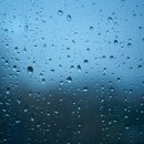 레인[rain]