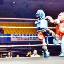 강성복싱체육관 | 충청남도 킥복싱 협회장배 킥복싱대회 타이틀매치 &amp; 국제전 후기