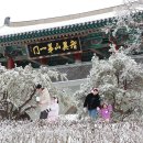 함양얼음