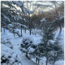계곡힐링스카이