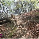 초성4리 마을회관 이미지