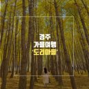 경주시서면도리보건진료소 | [경주여행] 2021년 11월 경주 은행나무 맛집, 도리마을