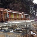 연어의추억 이미지