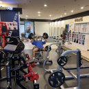 고릴라멀티짐-골프 이미지