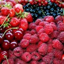 싱싱과일 이미지