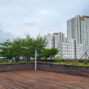 새롬동_크리스마스빌딩앞 이미지