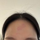 빈대떡아씨 | 202603