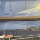 주술육회연어 | 📍오사카 1박2일 여행기록