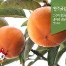 완주감생산자협동조합