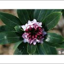 과천대성주유소 이미지